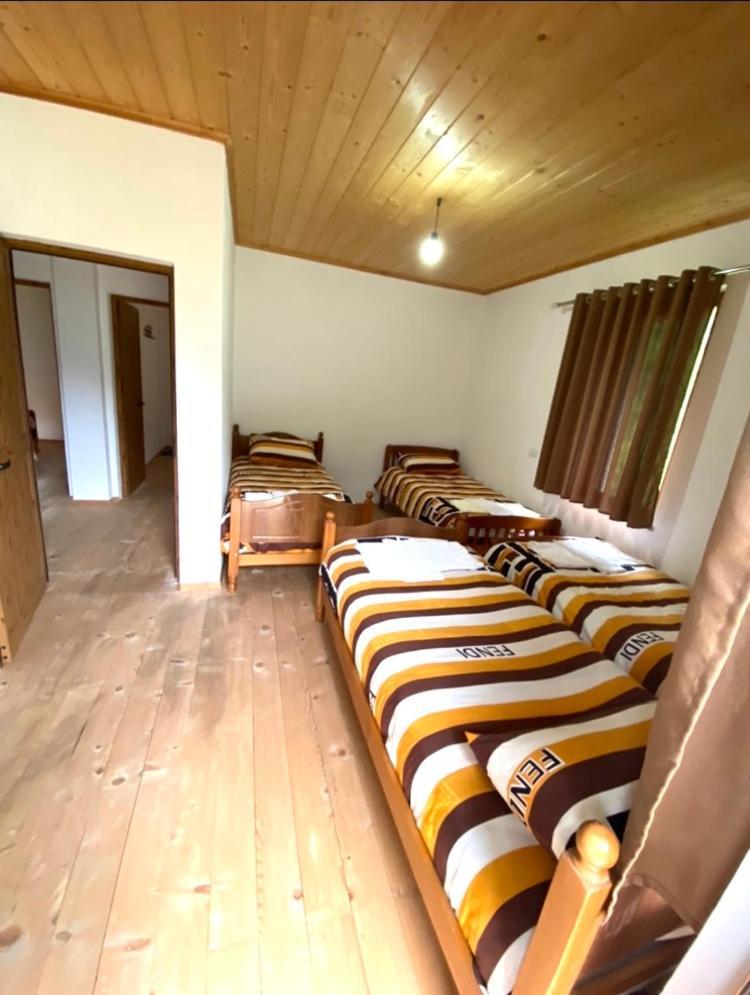 Elvis Blini Thethi Hotel Exterior photo